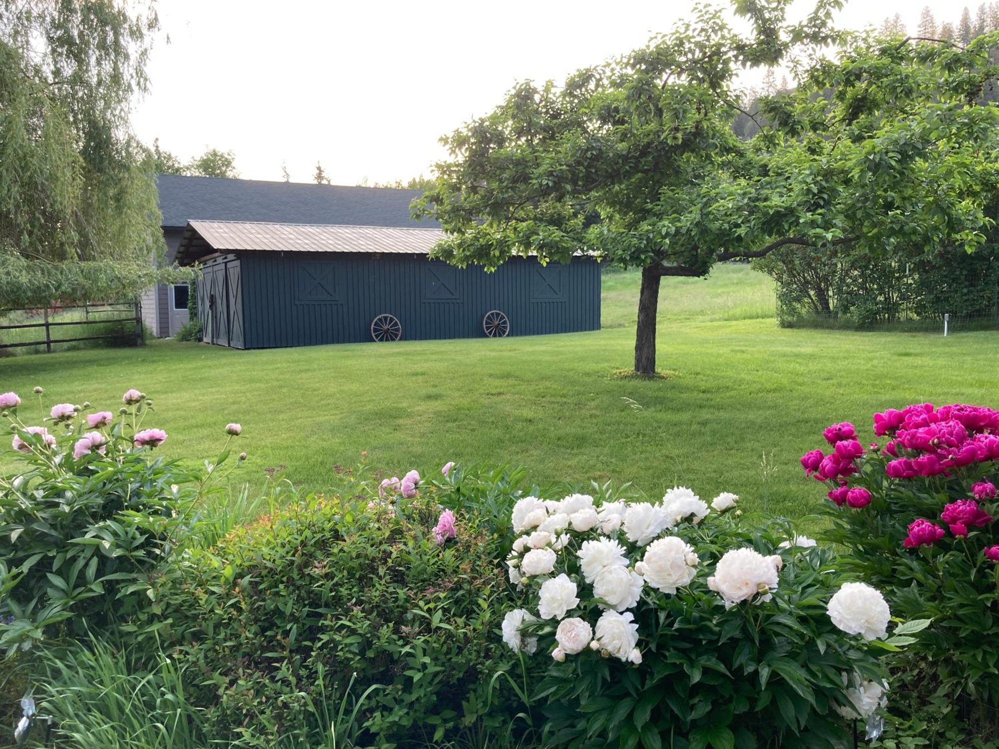 Hideaway Ranch Guest House Бонърс Фери Екстериор снимка