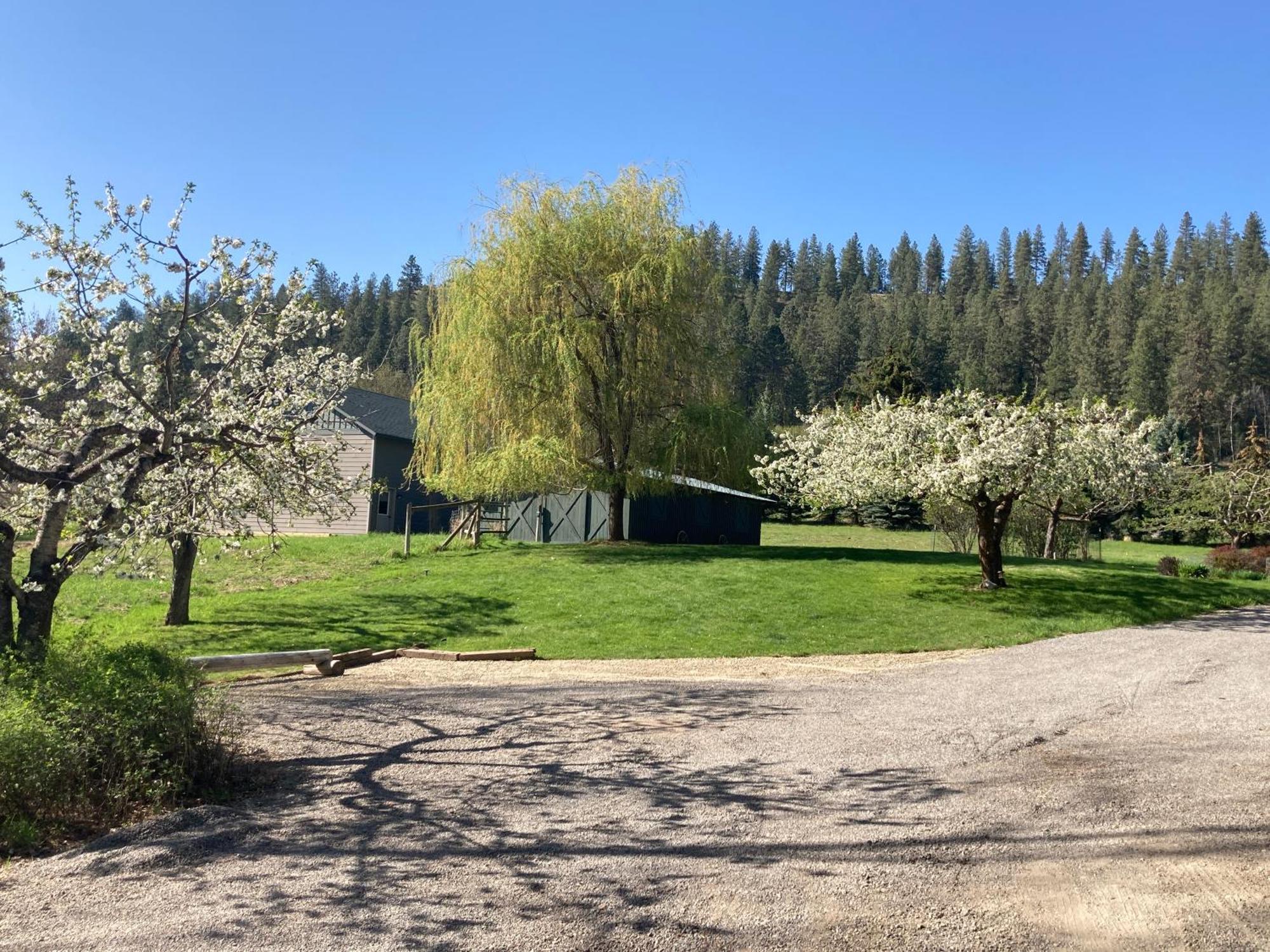 Hideaway Ranch Guest House Бонърс Фери Стая снимка