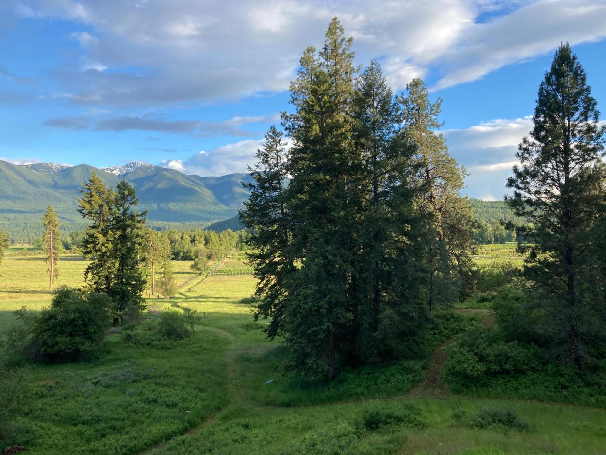 Hideaway Ranch Guest House Бонърс Фери Екстериор снимка